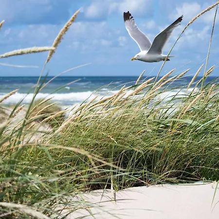 Διαμέρισμα In Duinbergen Near Sandy *